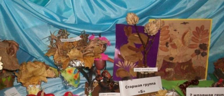 Выставка осенних поделок «Удивительное рядом» в детском саду Осенняя тематика на выставку поделок
